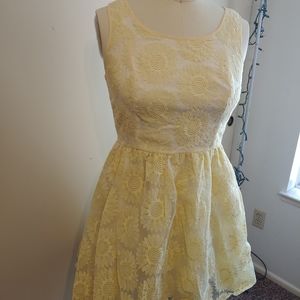 LC Lauren Conrad Lace Daisy Dress